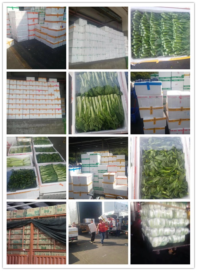 rb88随行版-rb88手机随行版登录入口