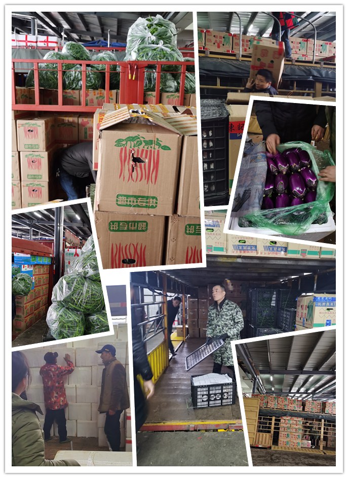 rb88随行版-rb88手机随行版登录入口