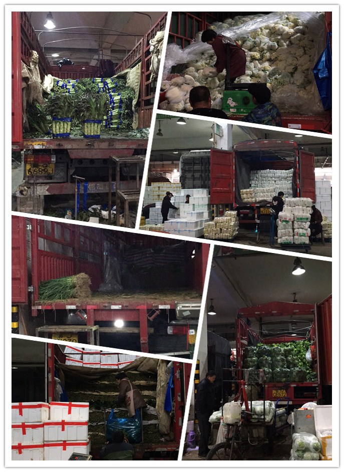 rb88随行版-rb88手机随行版登录入口