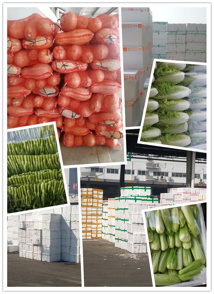 rb88随行版-rb88手机随行版登录入口