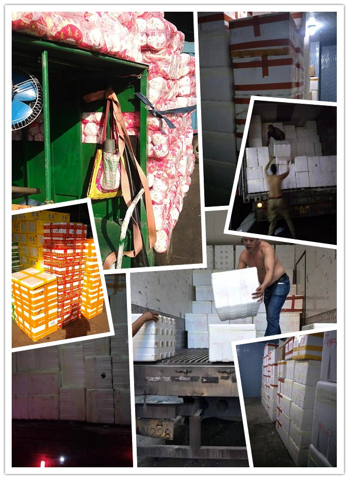 rb88随行版-rb88手机随行版登录入口