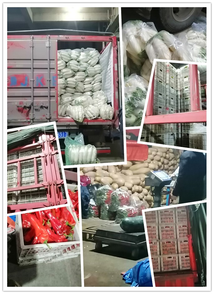 rb88随行版-rb88手机随行版登录入口