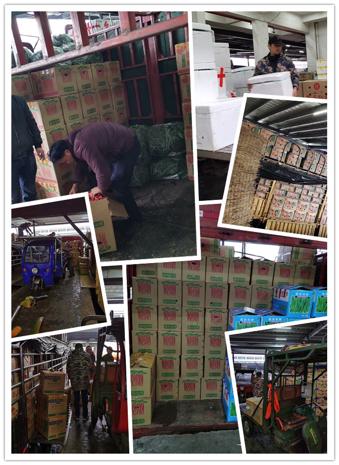 rb88随行版-rb88手机随行版登录入口