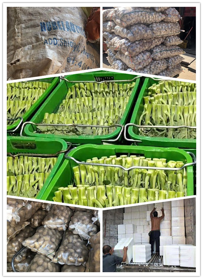 rb88随行版-rb88手机随行版登录入口