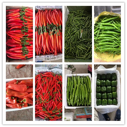 rb88随行版-rb88手机随行版登录入口