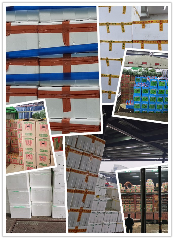 rb88随行版-rb88手机随行版登录入口