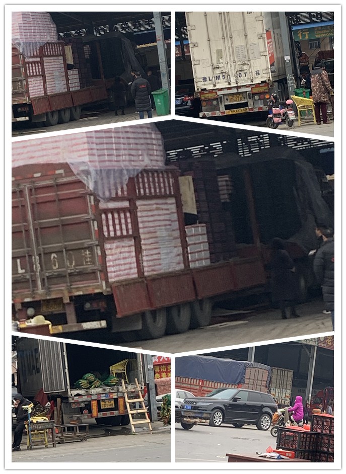 rb88随行版-rb88手机随行版登录入口