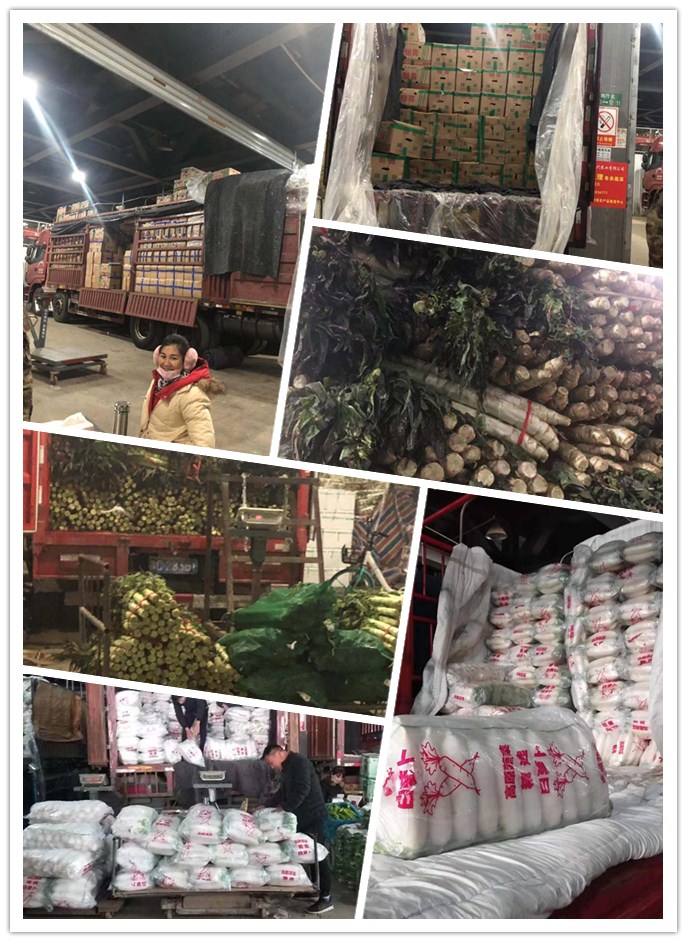 rb88随行版-rb88手机随行版登录入口