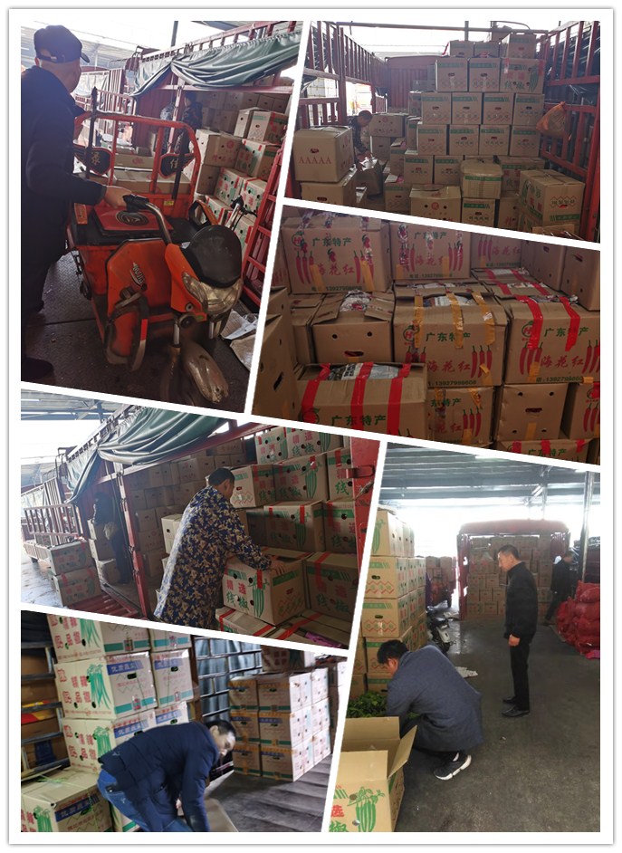 rb88随行版-rb88手机随行版登录入口