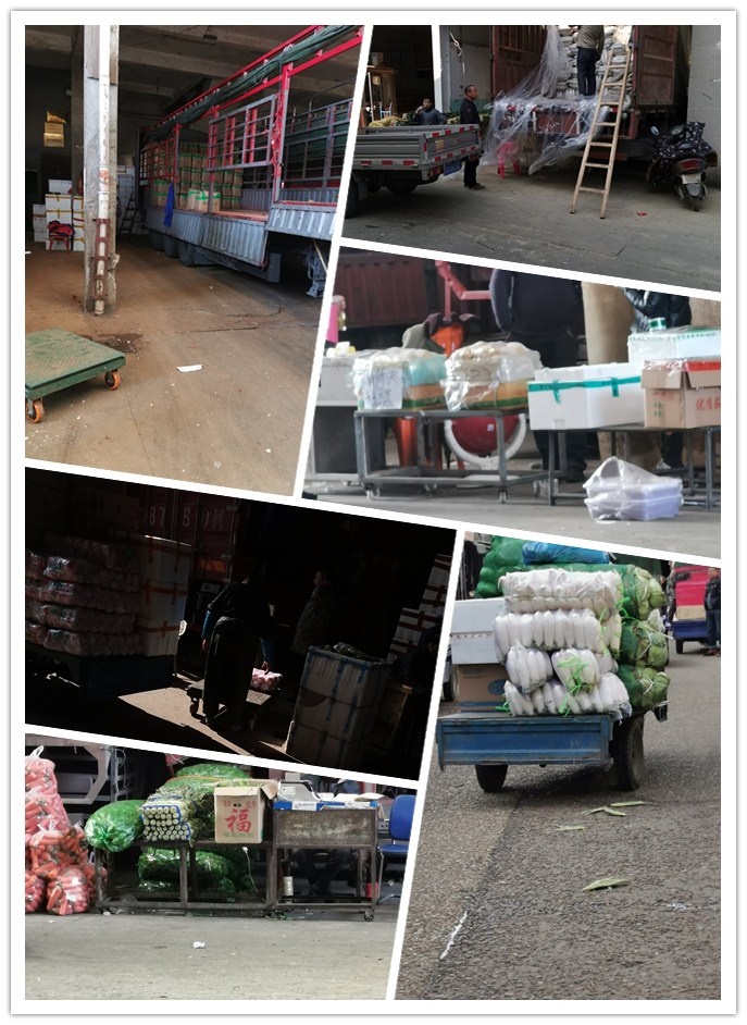 rb88随行版-rb88手机随行版登录入口