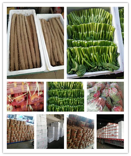 rb88随行版-rb88手机随行版登录入口