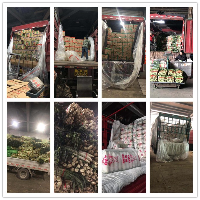 rb88随行版-rb88手机随行版登录入口