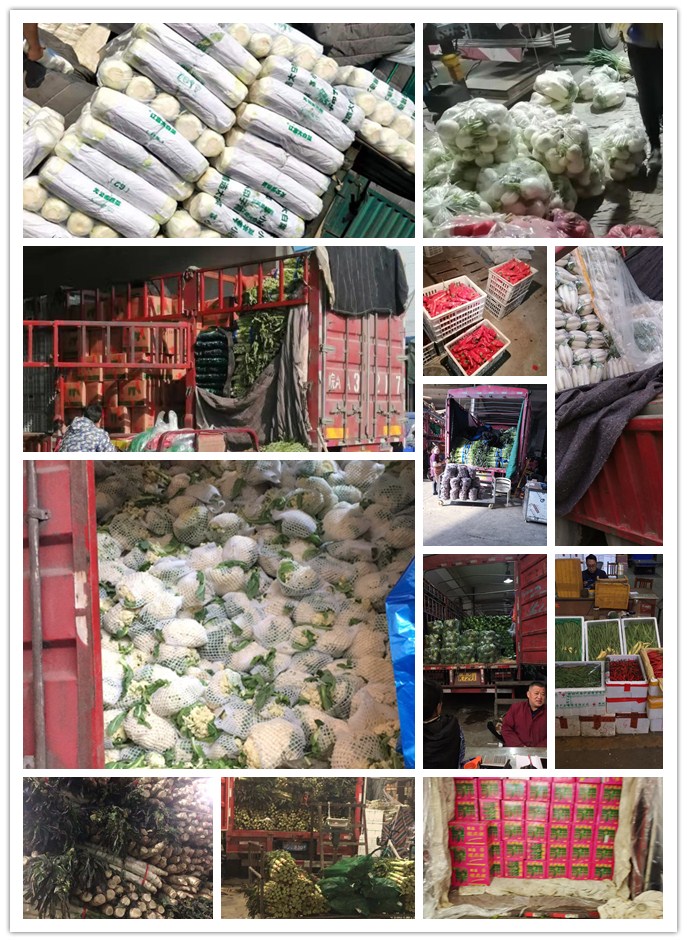 rb88随行版-rb88手机随行版登录入口