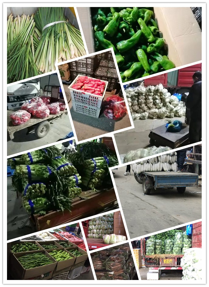 rb88随行版-rb88手机随行版登录入口