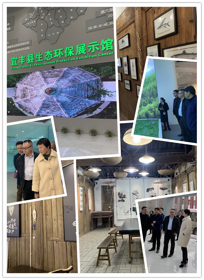 rb88随行版-rb88手机随行版登录入口