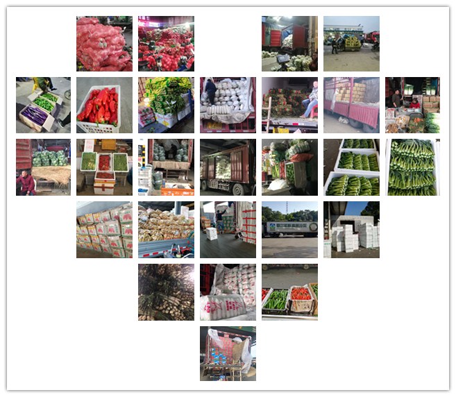 rb88随行版-rb88手机随行版登录入口