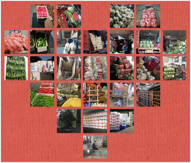 rb88随行版-rb88手机随行版登录入口