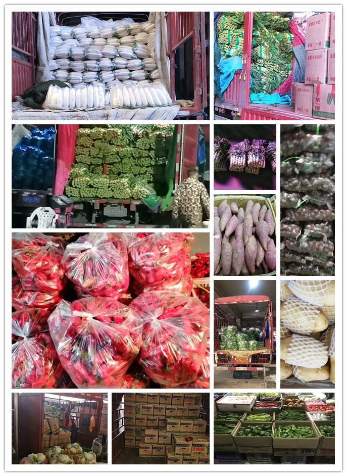 rb88随行版-rb88手机随行版登录入口