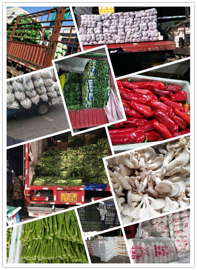 rb88随行版-rb88手机随行版登录入口