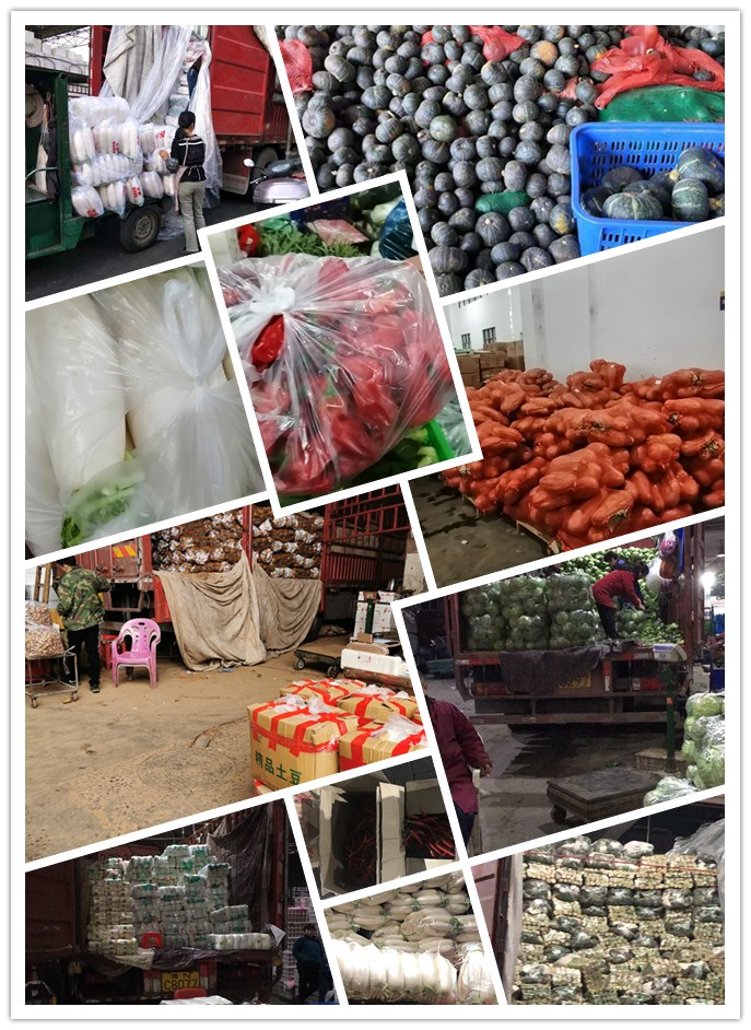 rb88随行版-rb88手机随行版登录入口