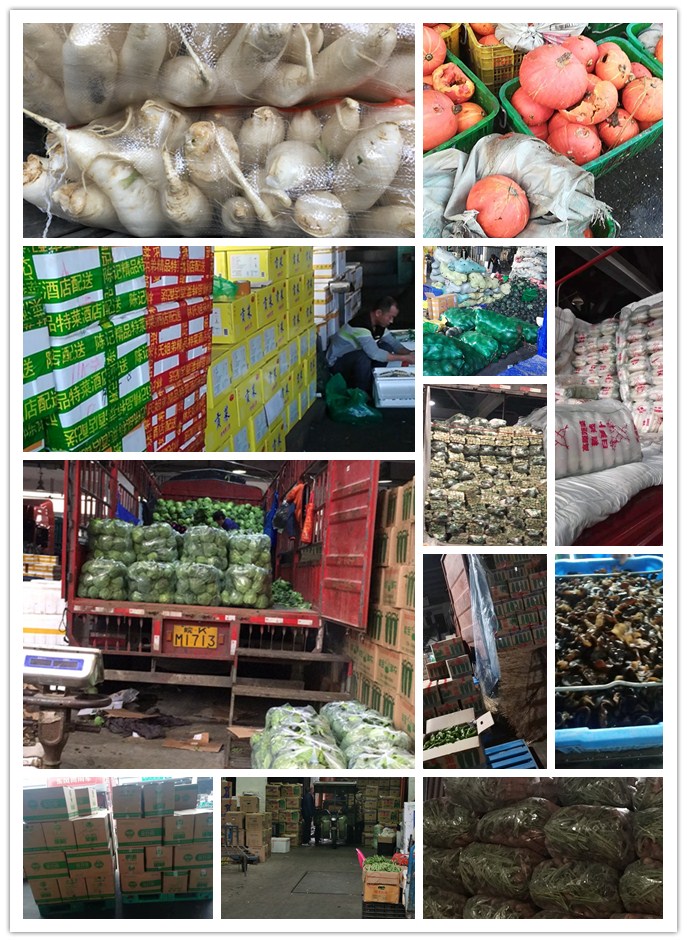 rb88随行版-rb88手机随行版登录入口