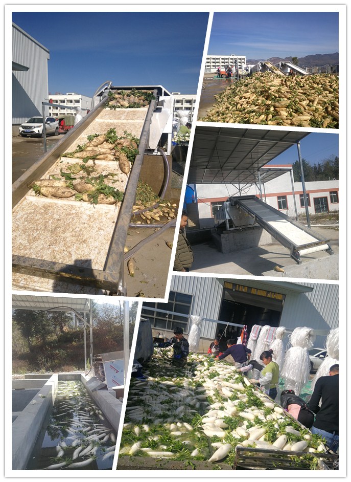 rb88随行版-rb88手机随行版登录入口