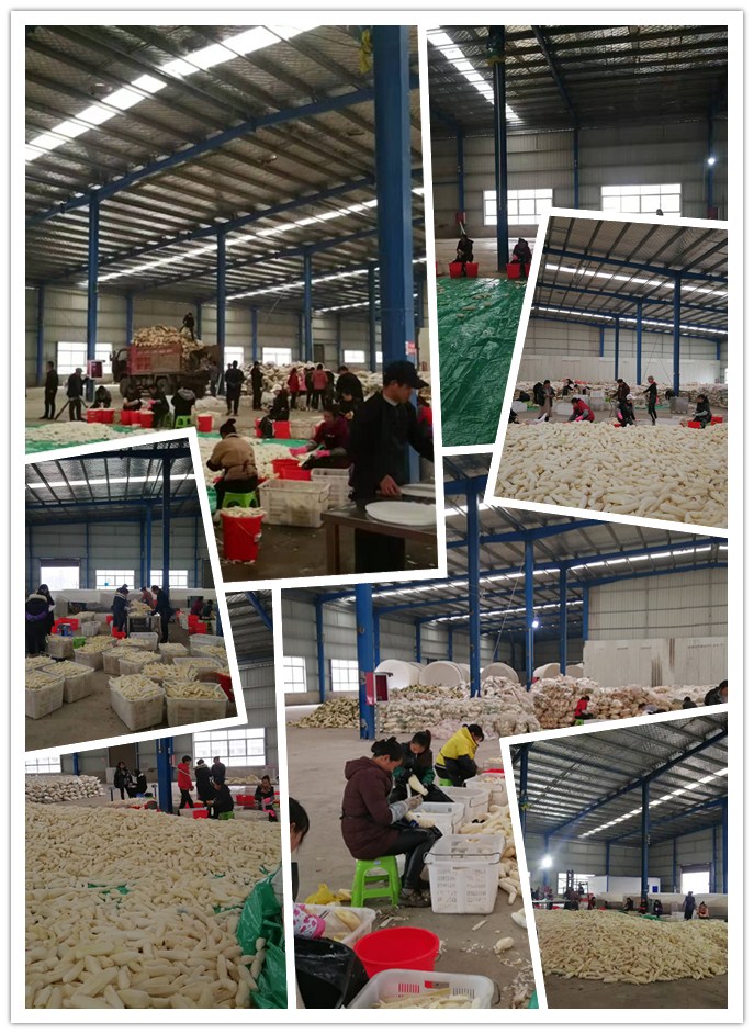 rb88随行版-rb88手机随行版登录入口