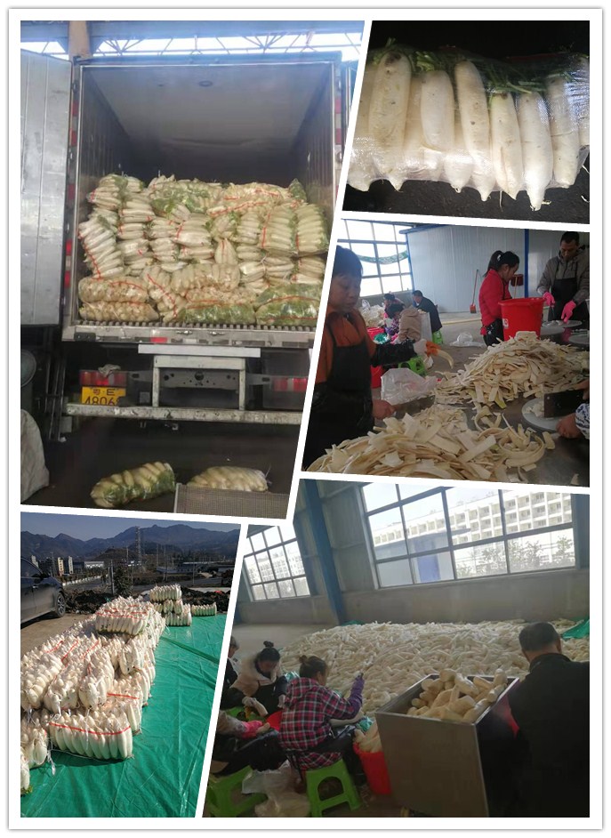 rb88随行版-rb88手机随行版登录入口