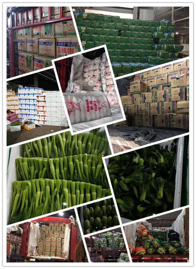 rb88随行版-rb88手机随行版登录入口