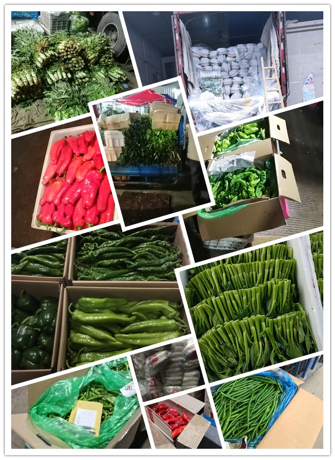 rb88随行版-rb88手机随行版登录入口