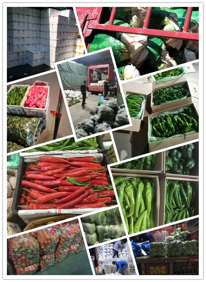 rb88随行版-rb88手机随行版登录入口