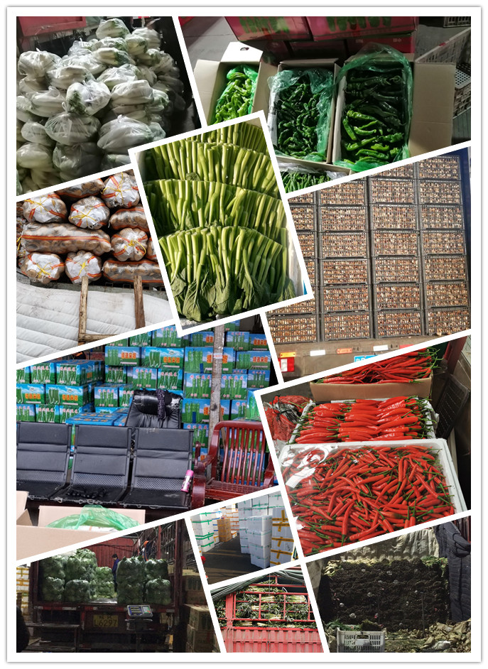 rb88随行版-rb88手机随行版登录入口