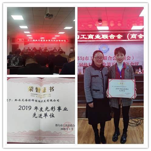 rb88随行版-rb88手机随行版登录入口