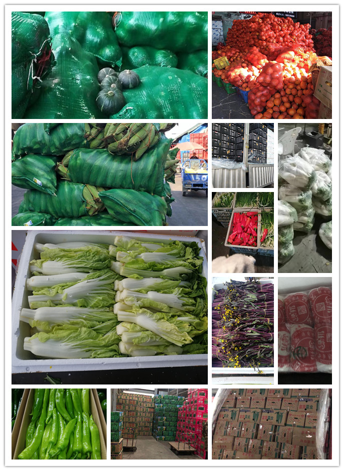 rb88随行版-rb88手机随行版登录入口