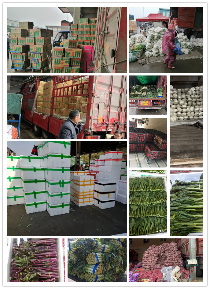 rb88随行版-rb88手机随行版登录入口