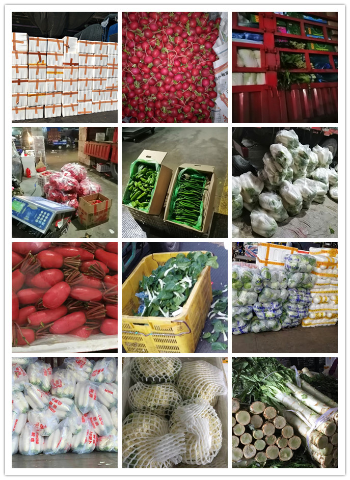 rb88随行版-rb88手机随行版登录入口