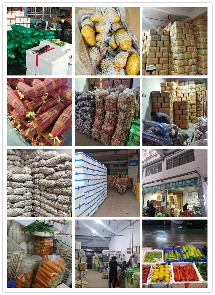 rb88随行版-rb88手机随行版登录入口