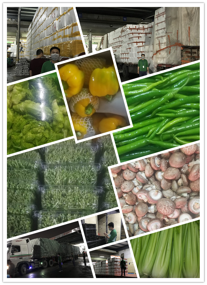 rb88随行版-rb88手机随行版登录入口