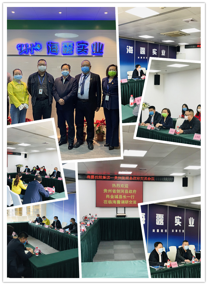 rb88随行版-rb88手机随行版登录入口