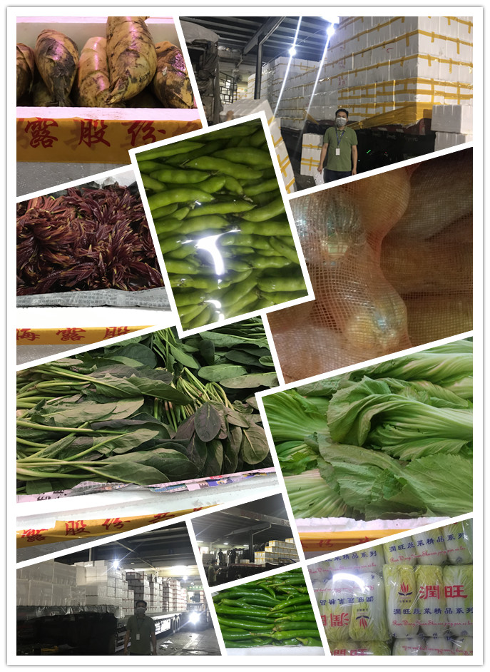 rb88随行版-rb88手机随行版登录入口