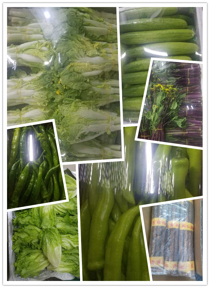 rb88随行版-rb88手机随行版登录入口