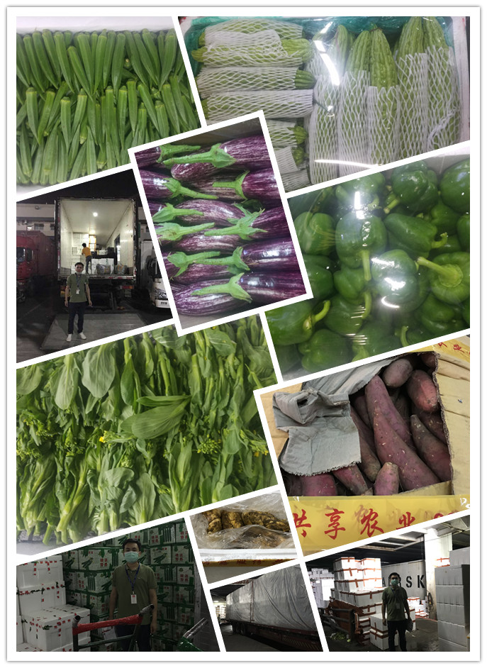 rb88随行版-rb88手机随行版登录入口