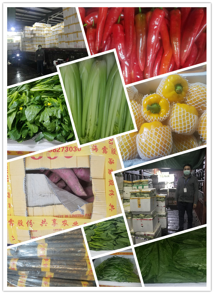 rb88随行版-rb88手机随行版登录入口