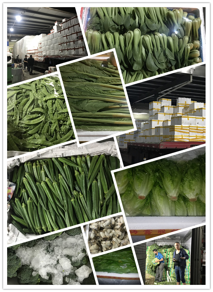 rb88随行版-rb88手机随行版登录入口