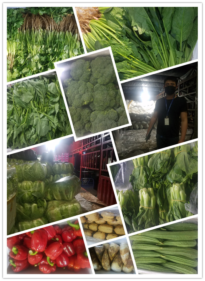 rb88随行版-rb88手机随行版登录入口