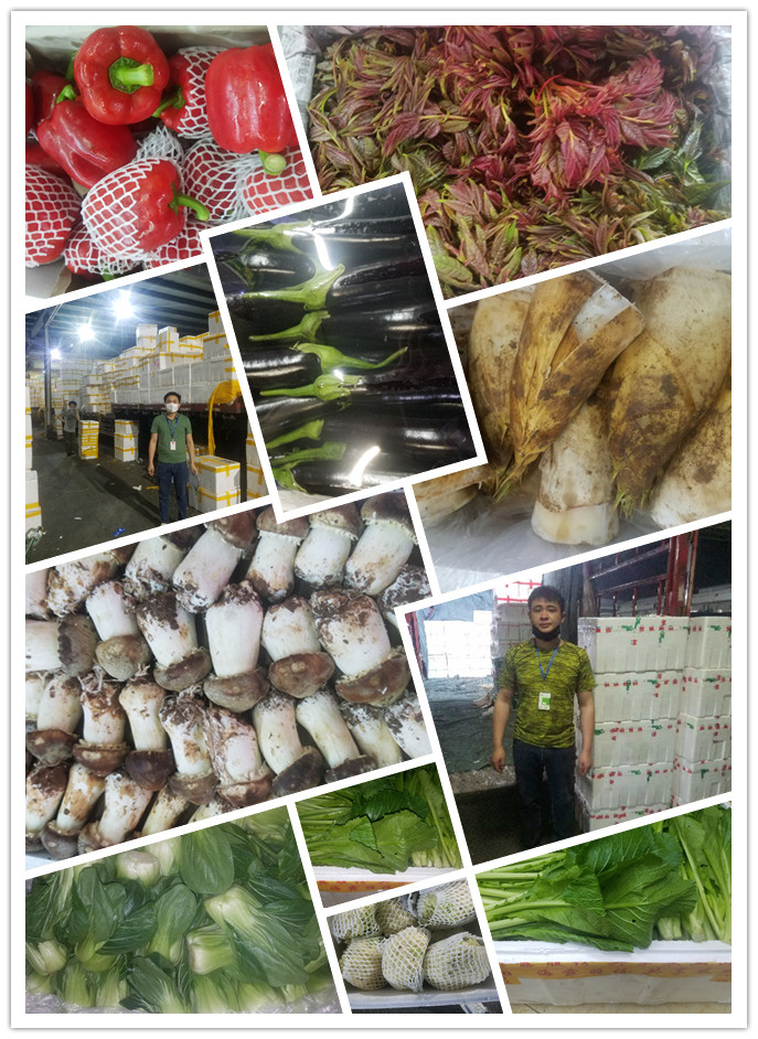 rb88随行版-rb88手机随行版登录入口