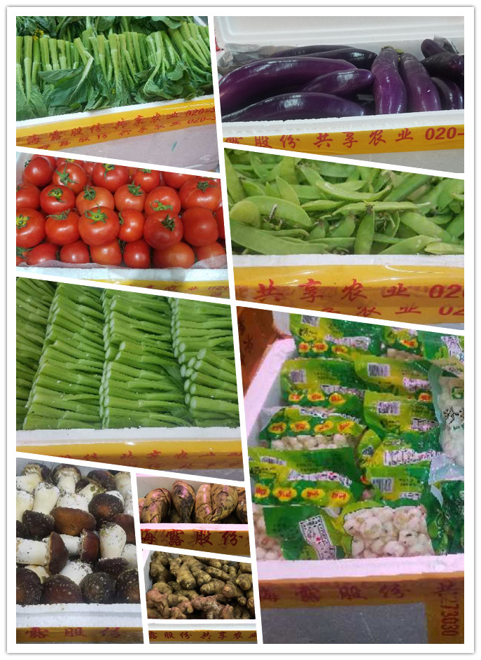 rb88随行版-rb88手机随行版登录入口