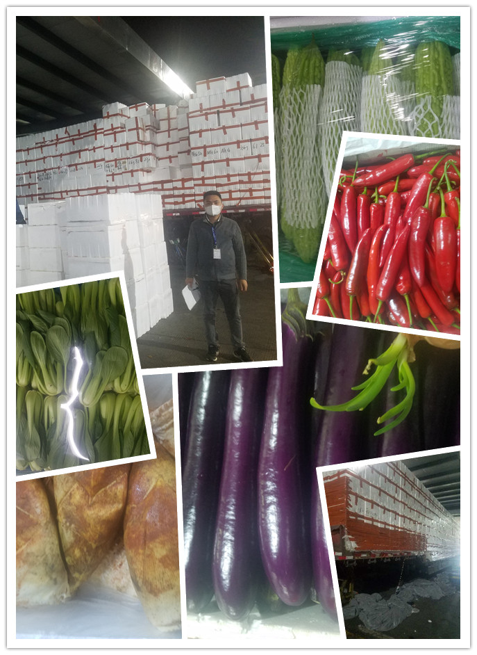 rb88随行版-rb88手机随行版登录入口