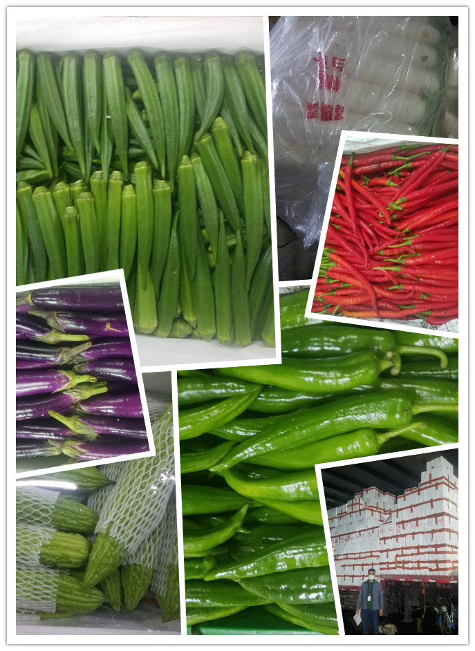 rb88随行版-rb88手机随行版登录入口