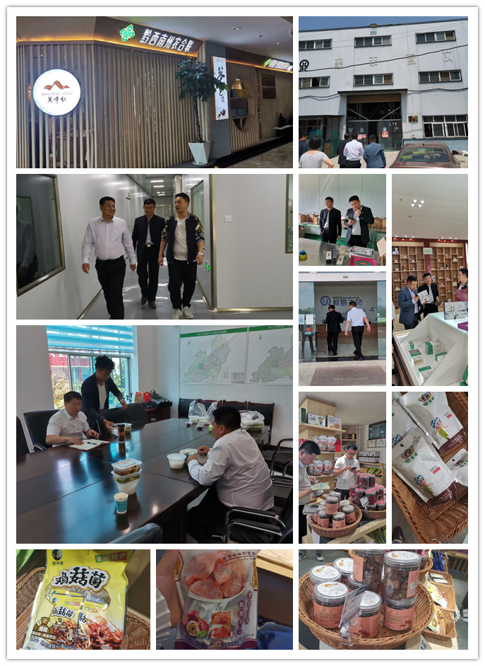 rb88随行版-rb88手机随行版登录入口